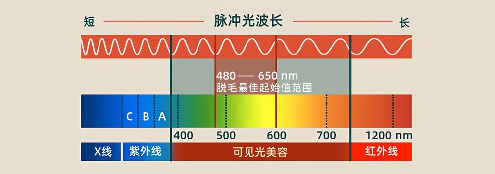 光子脱毛的波段图